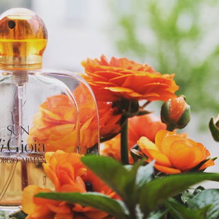 Sun di Gioia by Giorgio Armani