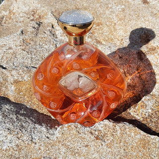 💙💙💙Danke für Euren Besuch. Freut mich sehr.💙💙💙