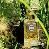 Mit Chypre Mousse auf Moorexkursion... (by ElAttarine)