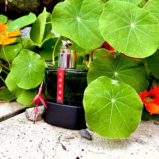 Luna Rossa Carbon by Prada