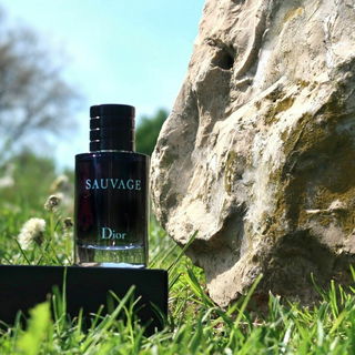 Sauvage (Eau de Toilette) von Dior