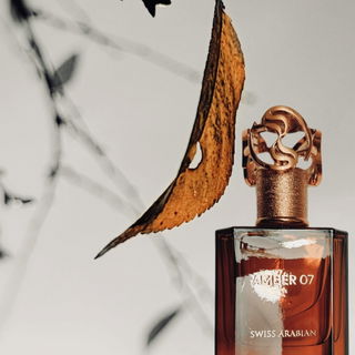 Amber 07 von Swiss Arabian