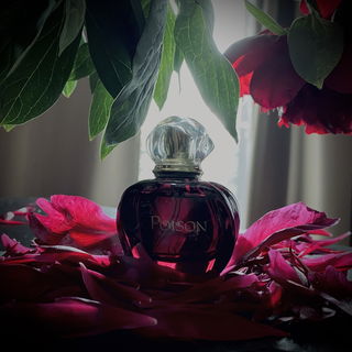 Romance (Eau de Parfum) - Ralph Lauren
