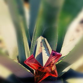 Angel Eau Croisière 2019 - Mugler