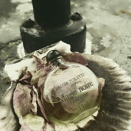 Muschelmagie