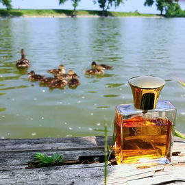 Relax day with calming ambra