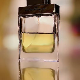 Salvatore Ferragamo pour Homme (Eau de Toilette) - Salvatore Ferragamo