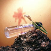 Morgen, versprochen (durch Tonkaton-Brillen) (von Floyd)