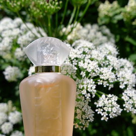 Fleur d'Interdit - Givenchy