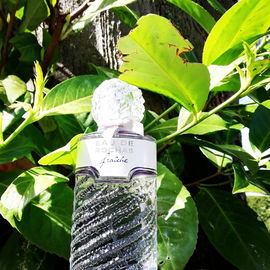 Eau de Rochas Fraîche - Rochas