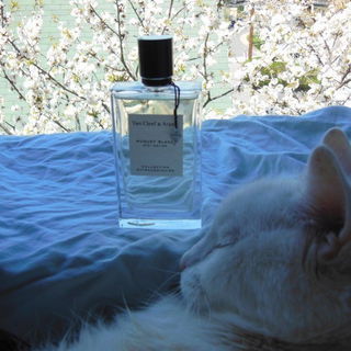 Muguet Blanc von Van Cleef & Arpels