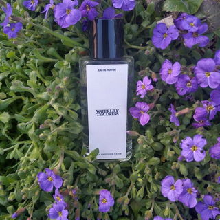 Zara Emotions N°02 - Waterlily Tea Dress (Hair and Body Mist) von Zara