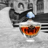 Lichtkegel fluten Arabesken # gepuderte Fledermäuse schmelzen im Sog jener Rauch_Vanille_Iris Becken ... zu erhaben_anmutig_intimen Tonkagärten (von Seejungfrau)