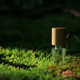 Ihr lieben Duftis, ein riesiges Dankeschön für eure Blicke & Worte - der Wald ist ein Hammer-Wald und in der Tat wunderschön... :)