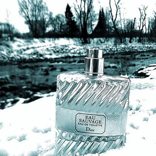 Eau Sauvage (Eau de Toilette) - Dior