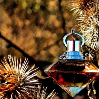 Wish (Parfum) - Chopard