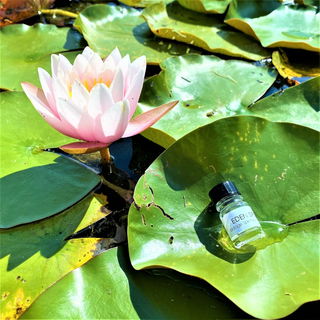 Erinnerung an den Sommer - passend zum jetzigen Wetter!   -   Vielen Dank für eure netten Kommentare, Ihr Lieben! Und an dieser Stelle nochmal meine besten Wünsche für 2023 an euch alle... :-))