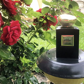 Armani Privé - Rose d'Arabie von Giorgio Armani