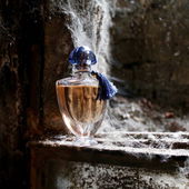 Lost place (#verschleiß) (von Leloup)