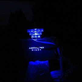 Night - Judith Leiber