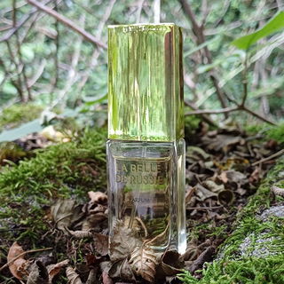 La Belle de Russie / Рyсская красавица by Nóvaya Zaryá