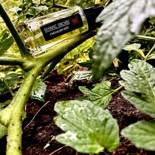 Chevalier Vert by Olympic Orchids Artisan Perfumes