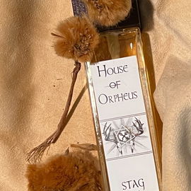 Stag - House of Orpheus