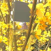 Der Monsieur mag die Farbe gelb! (by Salva)