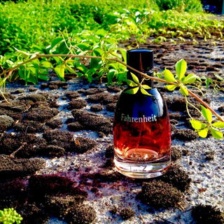 Fahrenheit Parfum - Dior