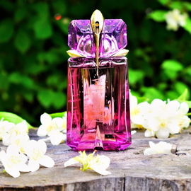 Alien (Eau de Toilette) - Mugler