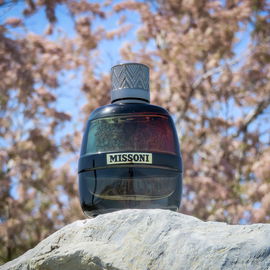 Missoni Parfum pour Homme (Eau de Parfum) - Missoni