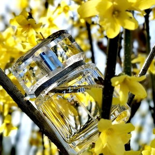Azzaro pour Elle (Eau de Parfum) - Azzaro