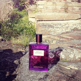 Die Ruinen von Haus Crange