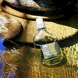 Eau de Cédrat - L'Occitane en Provence
