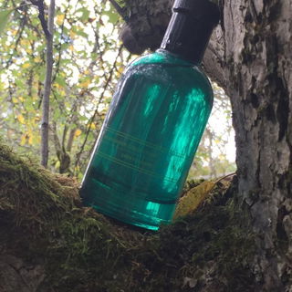 #Midsummer Deep Fougère - Zara