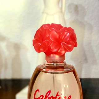 Cabotine Rose by Grès