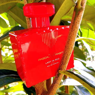 Lady in Red - Pascal Morabito