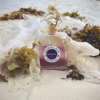 Insolence (Eau de Parfum) von Guerlain