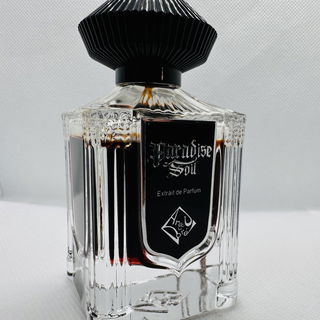 Sunny Nights - Lost Tribe