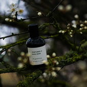 Regen im Frühling - Vielen Dank für eure wertschätzenden Kommentare! (von DrHildegard)