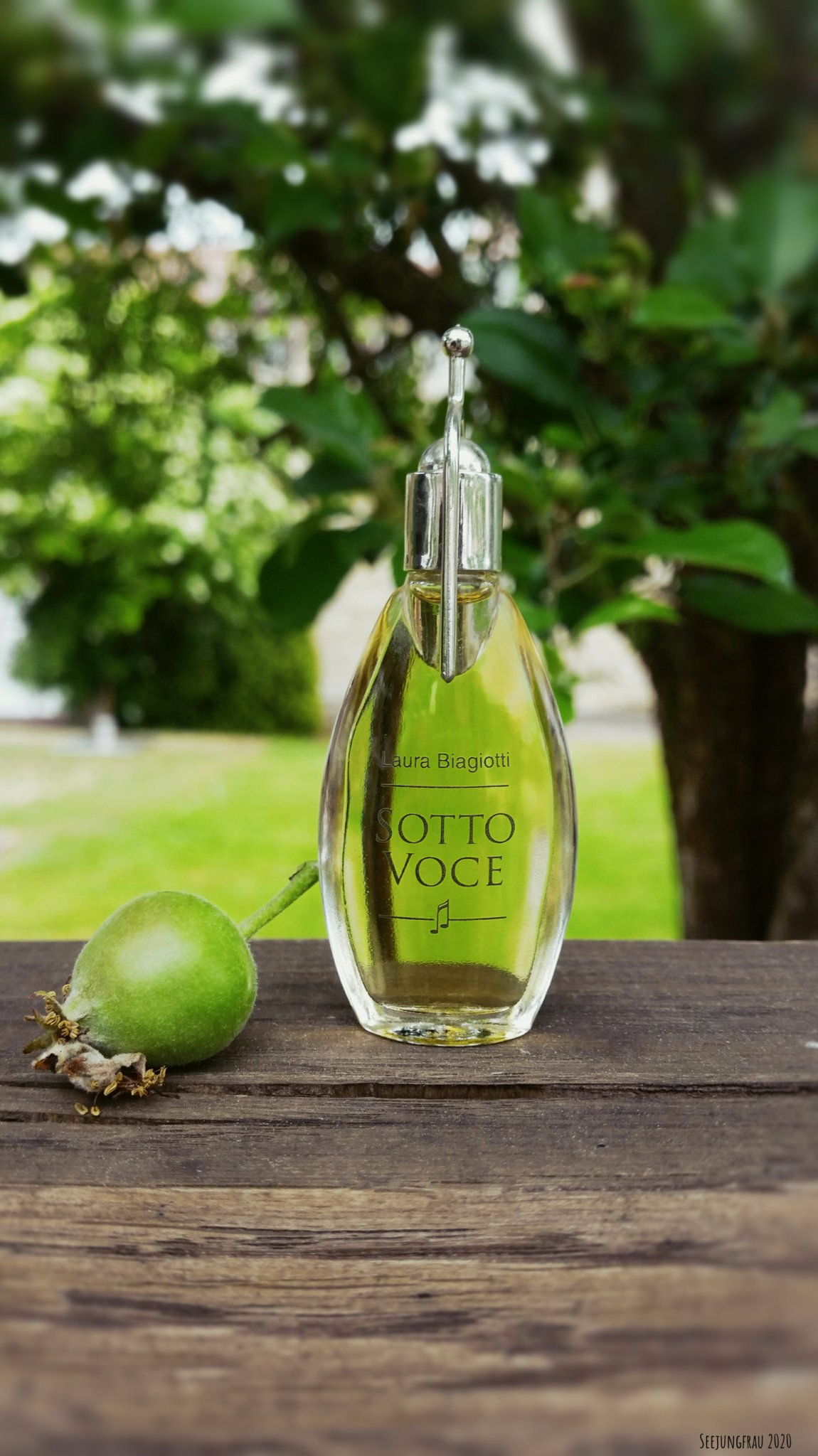 Sotto Voce by Laura Biagiotti » Reviews & Perfume Facts