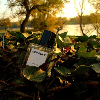 Privilege - Der Duft