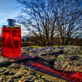 Desire for a Man (Eau de Toilette) - Dunhill