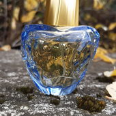 💙💜🥰Danke an Bee für die Leihgabe fürs Foto🥰💜💙 (von Kailani)