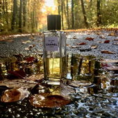 Herbst-Löwe (by Rosie88)