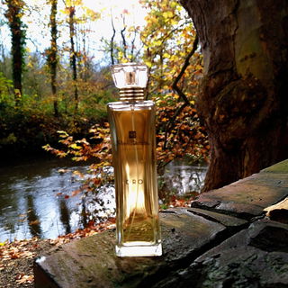 Herbst auf der Museumsinsel Hombroich, danke für eure netten Kommis