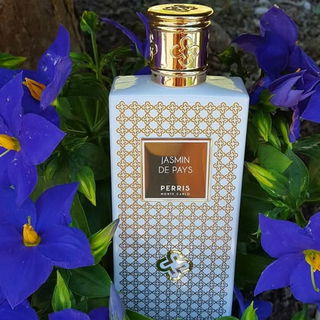 Jasmin de Pays - Perris Monte Carlo