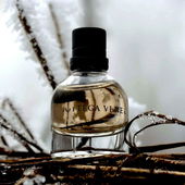 Holz wird zu Leder, Leder wird zu Holz, der Schnee zu Puder, die Kristalle zur Würze, der Duft für den Winter. Lieben Dank für den netten Besuch. (by Zora)