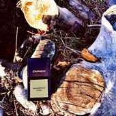 noch kurz abgeholzt (by Schalkerin)