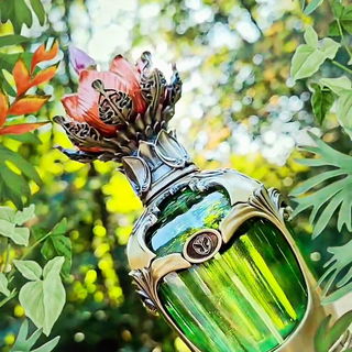 Ich danke Euch für all Eure lieben Kommt are🌿💚